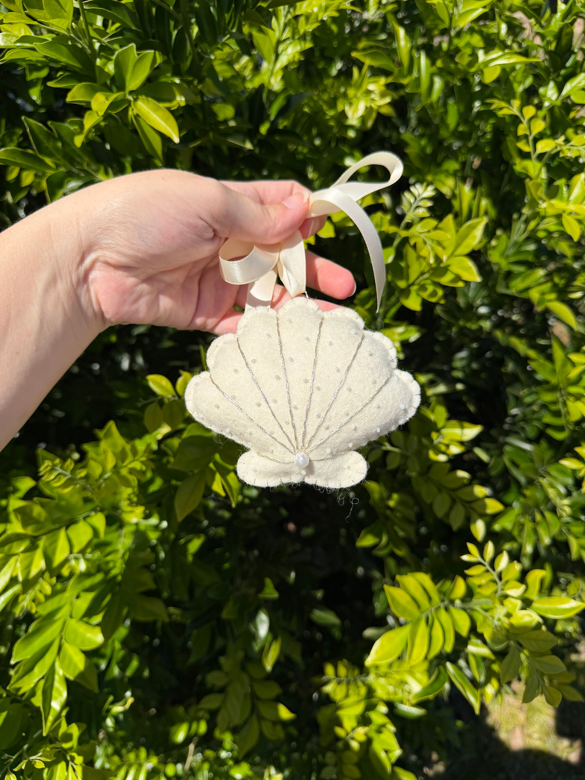 Christmas Seashell Heirloom Collection