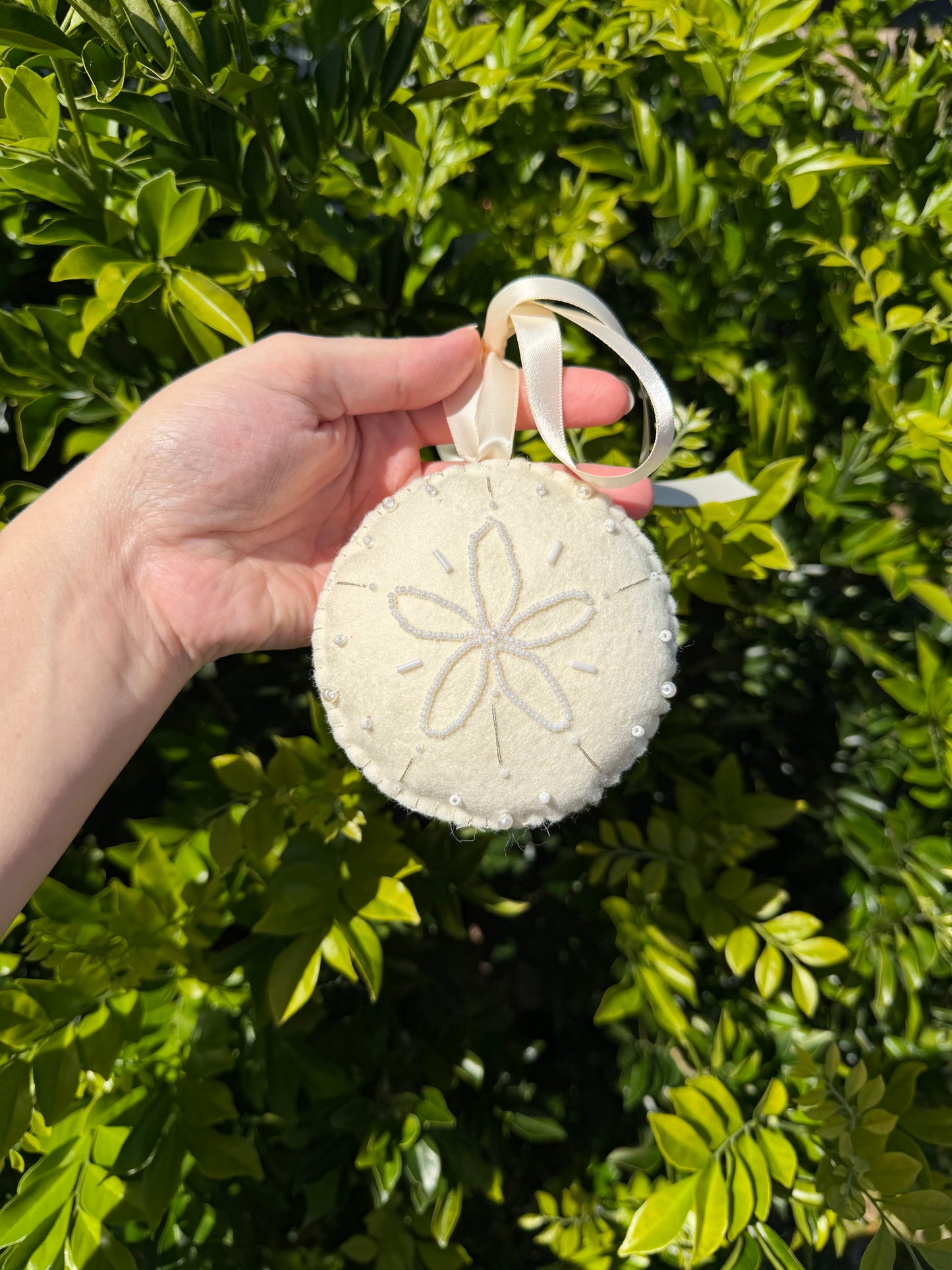 Christmas Seashell Heirloom Collection
