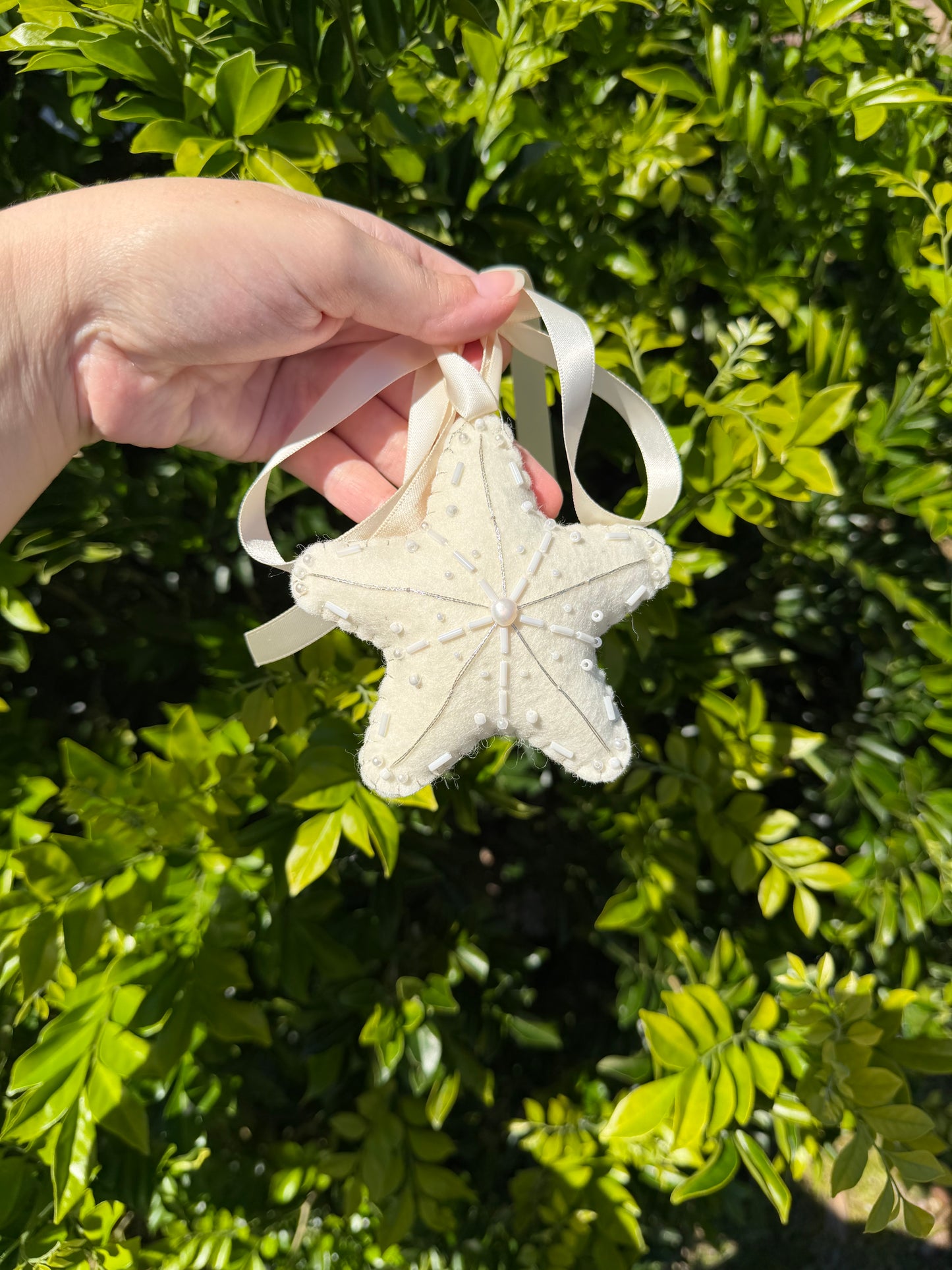 Christmas Seashell Heirloom Collection