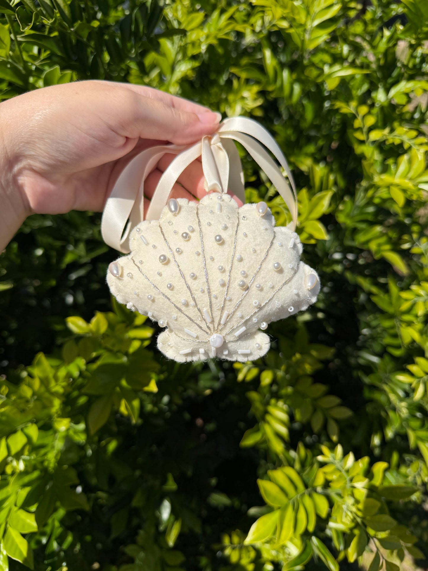 Christmas Seashell Heirloom Collection